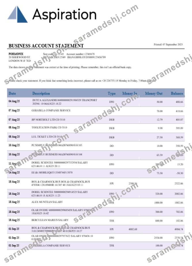 Aspiration bank business account statement Word and PDF template